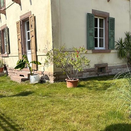 Gite Verriere Du Chateau Burrus Sainte-Croix-aux-Mines Екстериор снимка