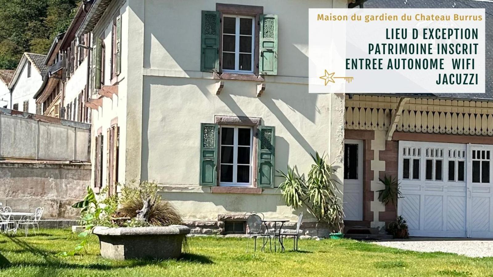 Gite Verriere Du Chateau Burrus Sainte-Croix-aux-Mines Екстериор снимка